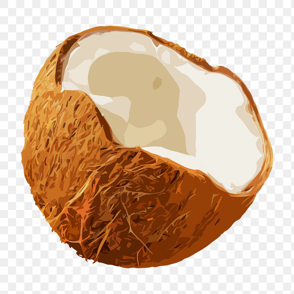 Coconut png sticker, fruit illustration | Premium PNG - rawpixel