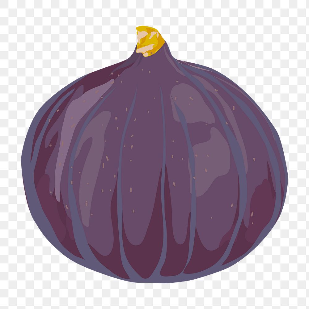 Fig png sticker, fruit illustration on transparent background