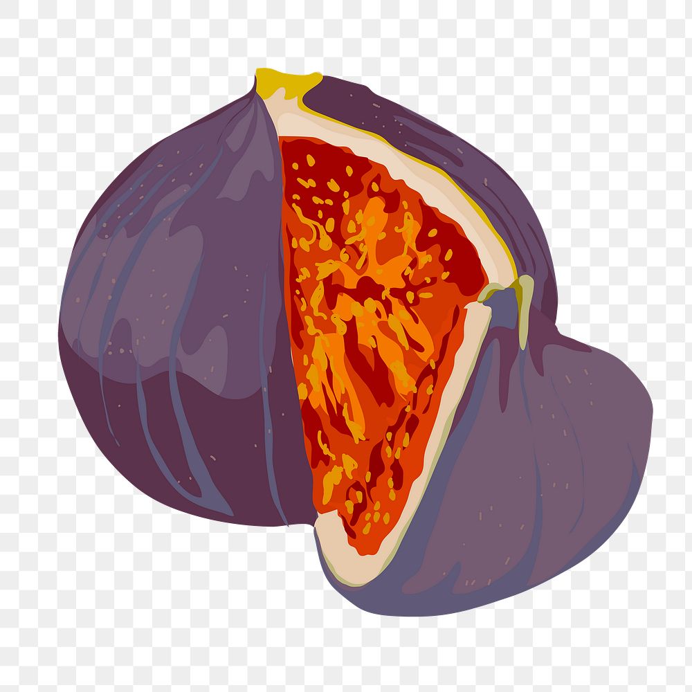 Fig png sticker, fruit illustration on transparent background