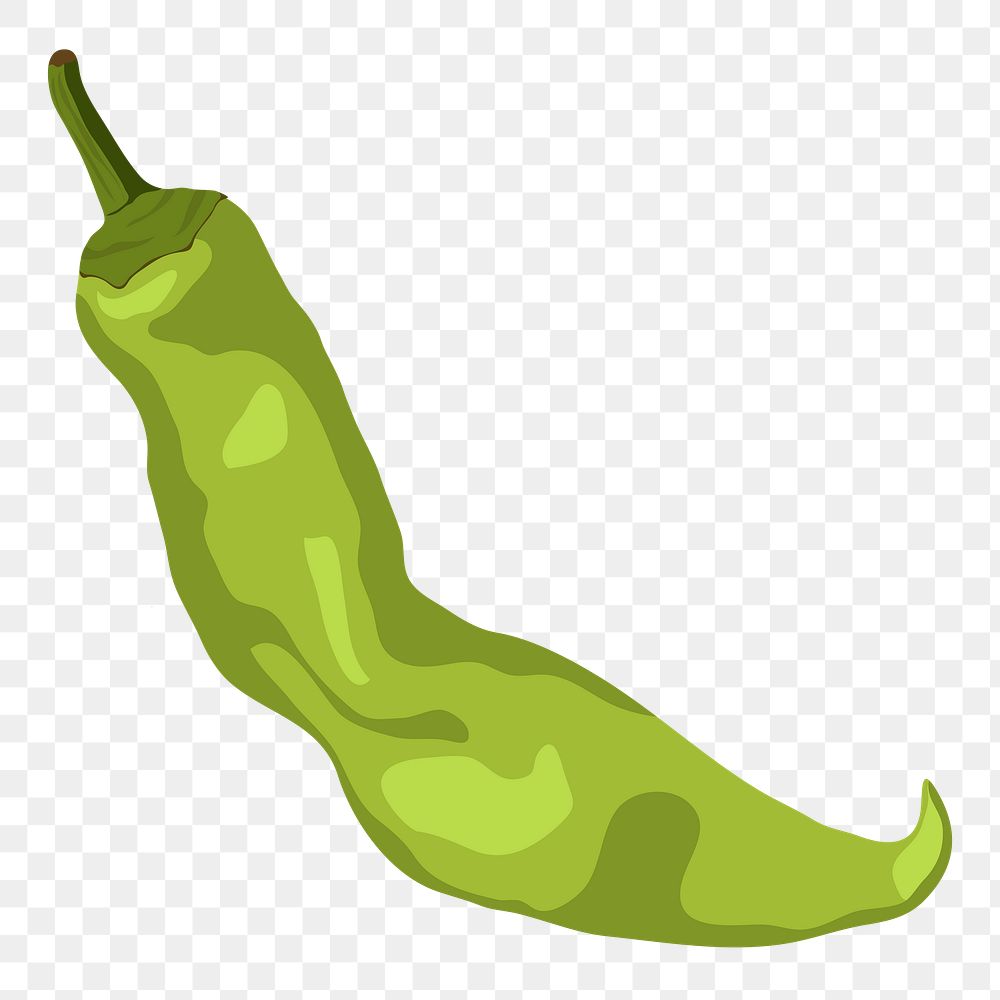 Green chili png sticker, vegetable illustration on transparent background