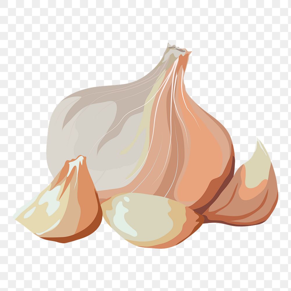 Garlic png sticker, vegetable illustration on transparent background