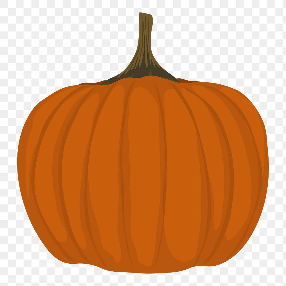 Pumpkin png sticker, squash illustration on transparent background