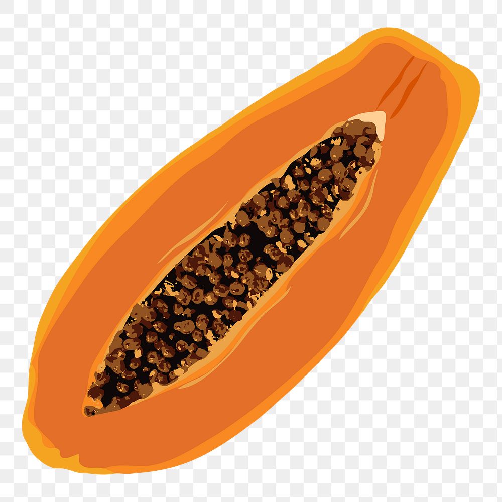 Papaya png sticker, fruit illustration on transparent background