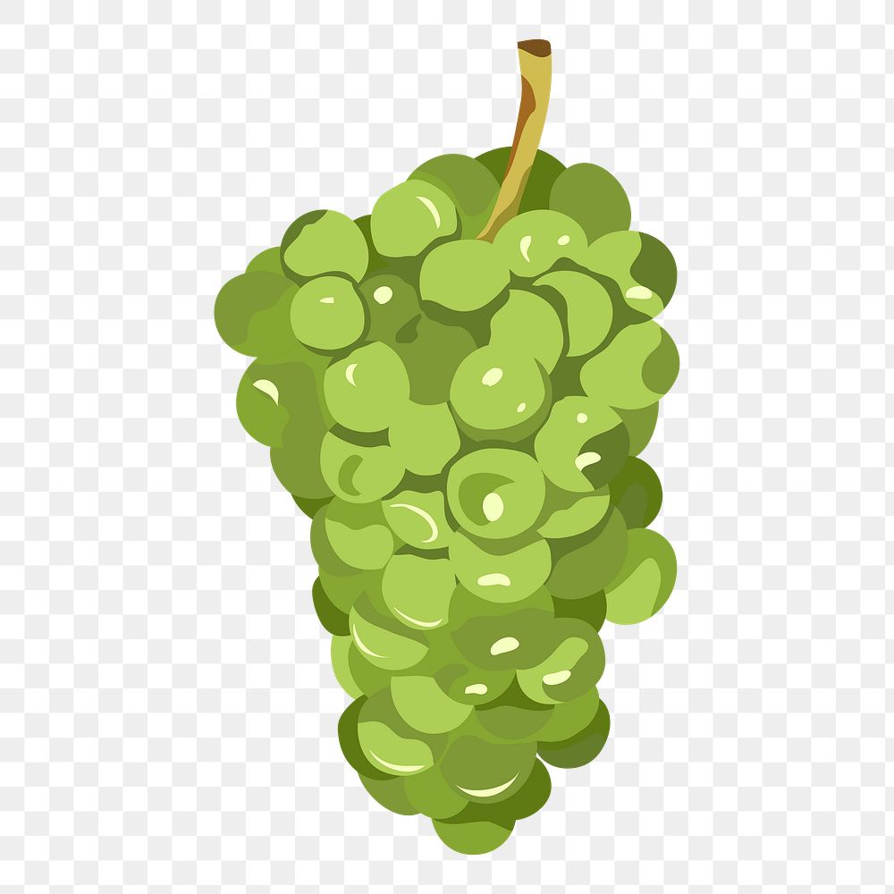 Green grapes png sticker, fruit illustration on transparent background