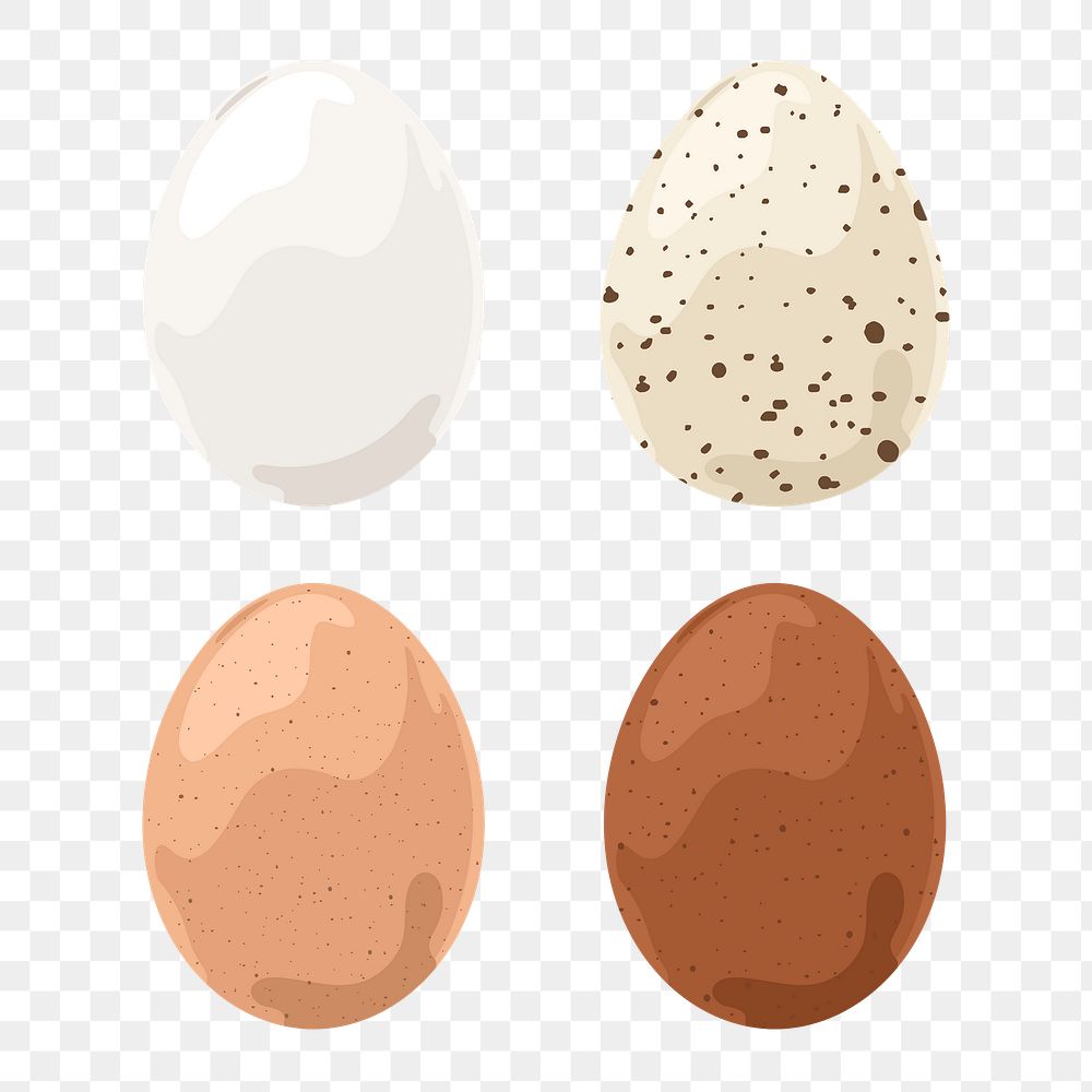 Eggs png sticker, food illustration on transparent background