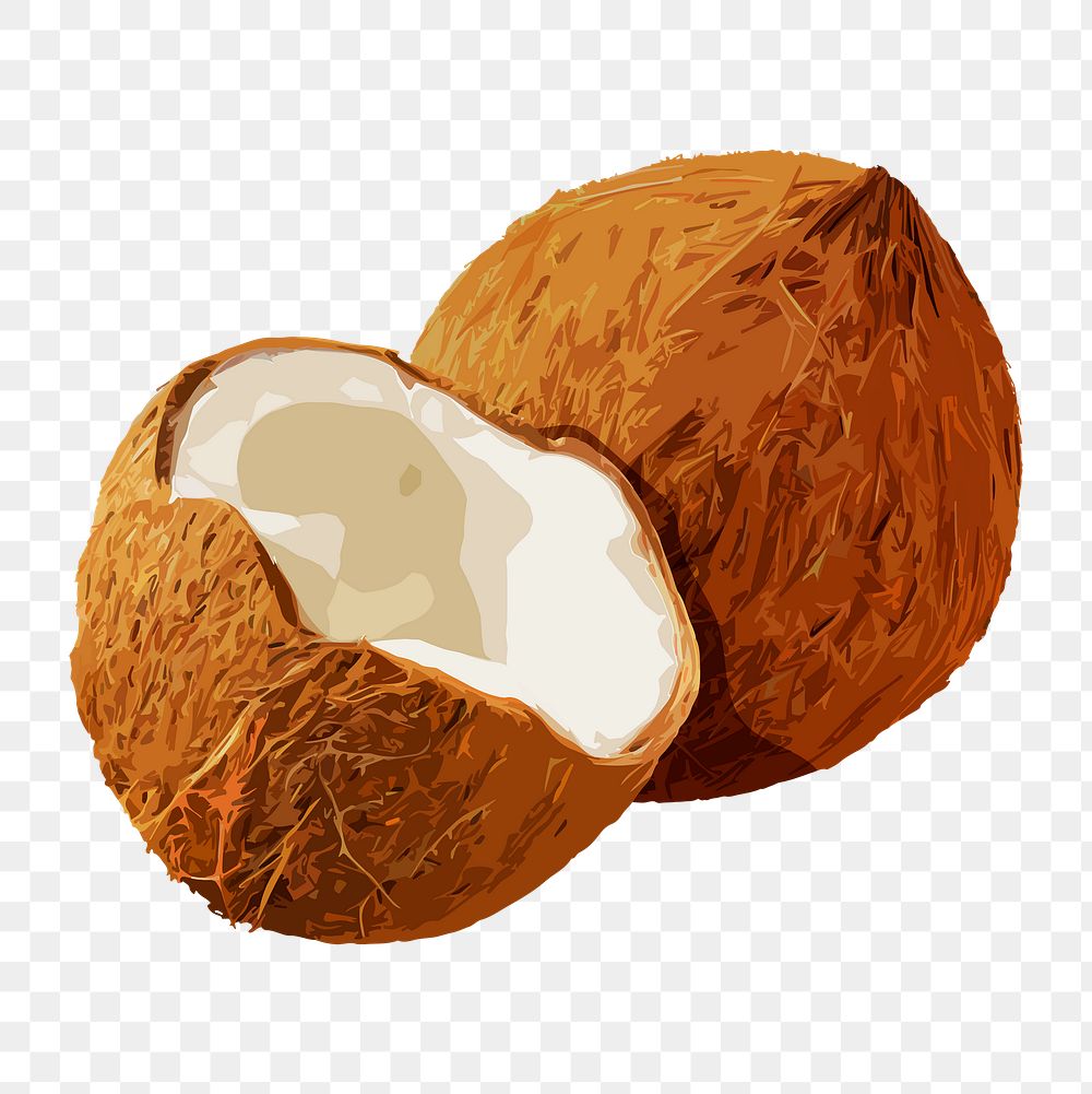 Coconut png sticker, fruit illustration on transparent background
