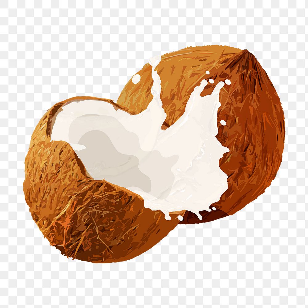 Coconut splash png sticker, fruit illustration on transparent background