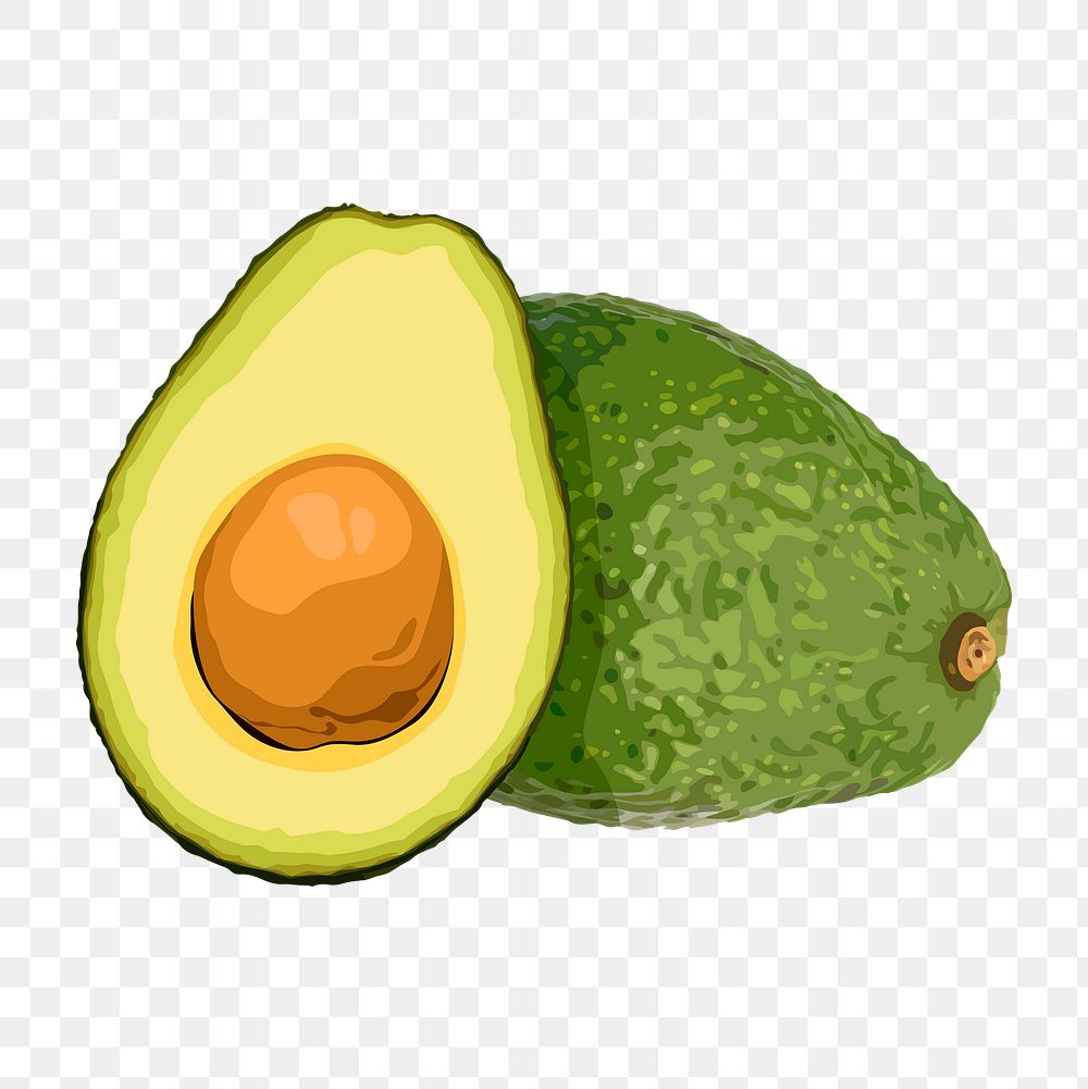 Avocado png sticker, fruit illustration on transparent background