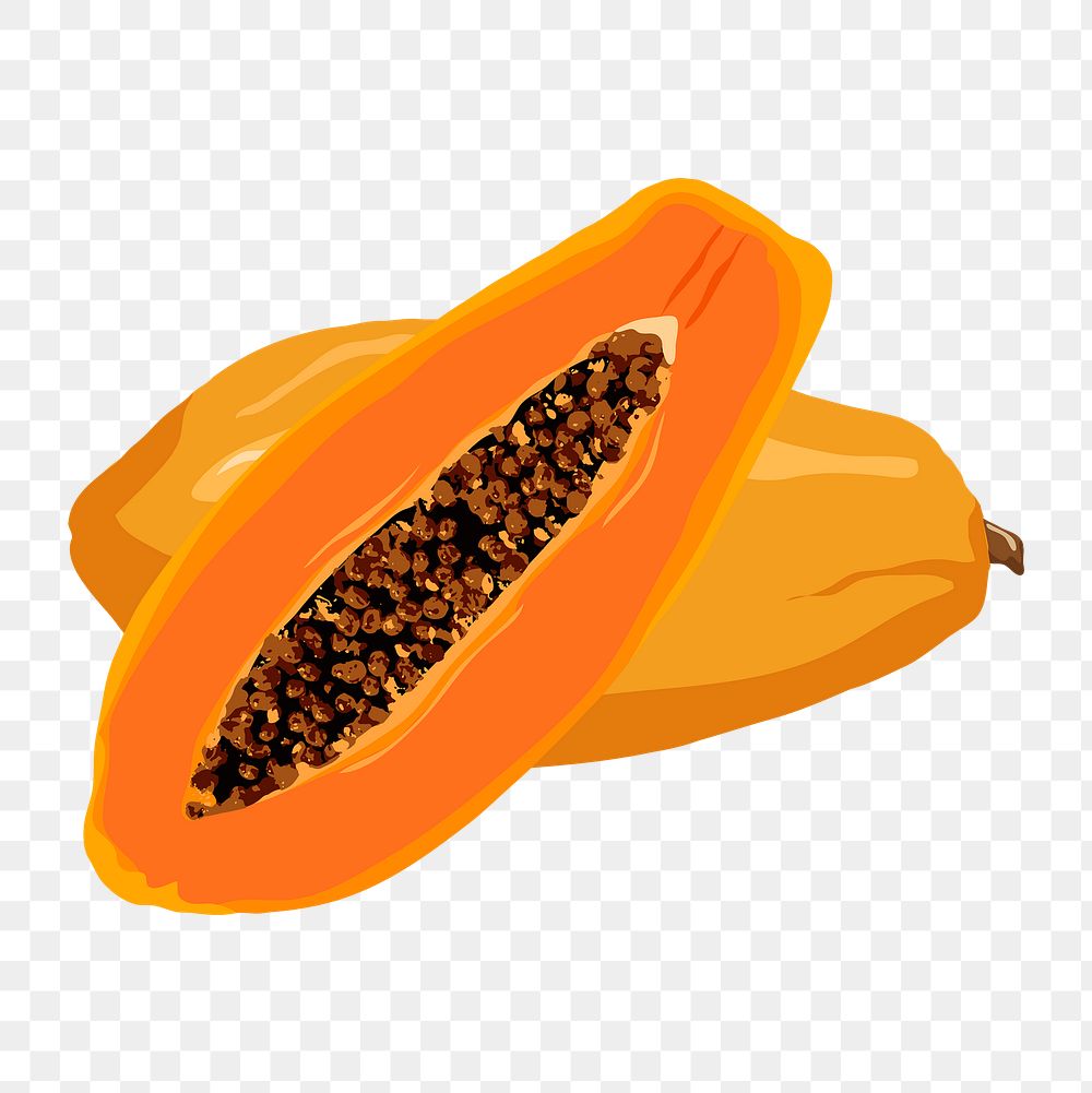Papaya png sticker, fruit illustration on transparent background