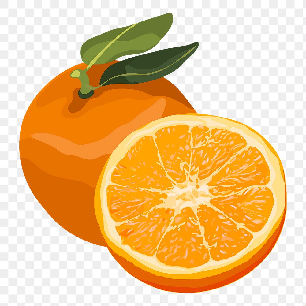 Orange png sticker, fruit illustration on transparent background