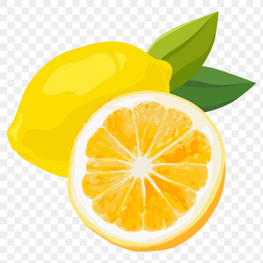 Lemon png sticker, fruit illustration on transparent background