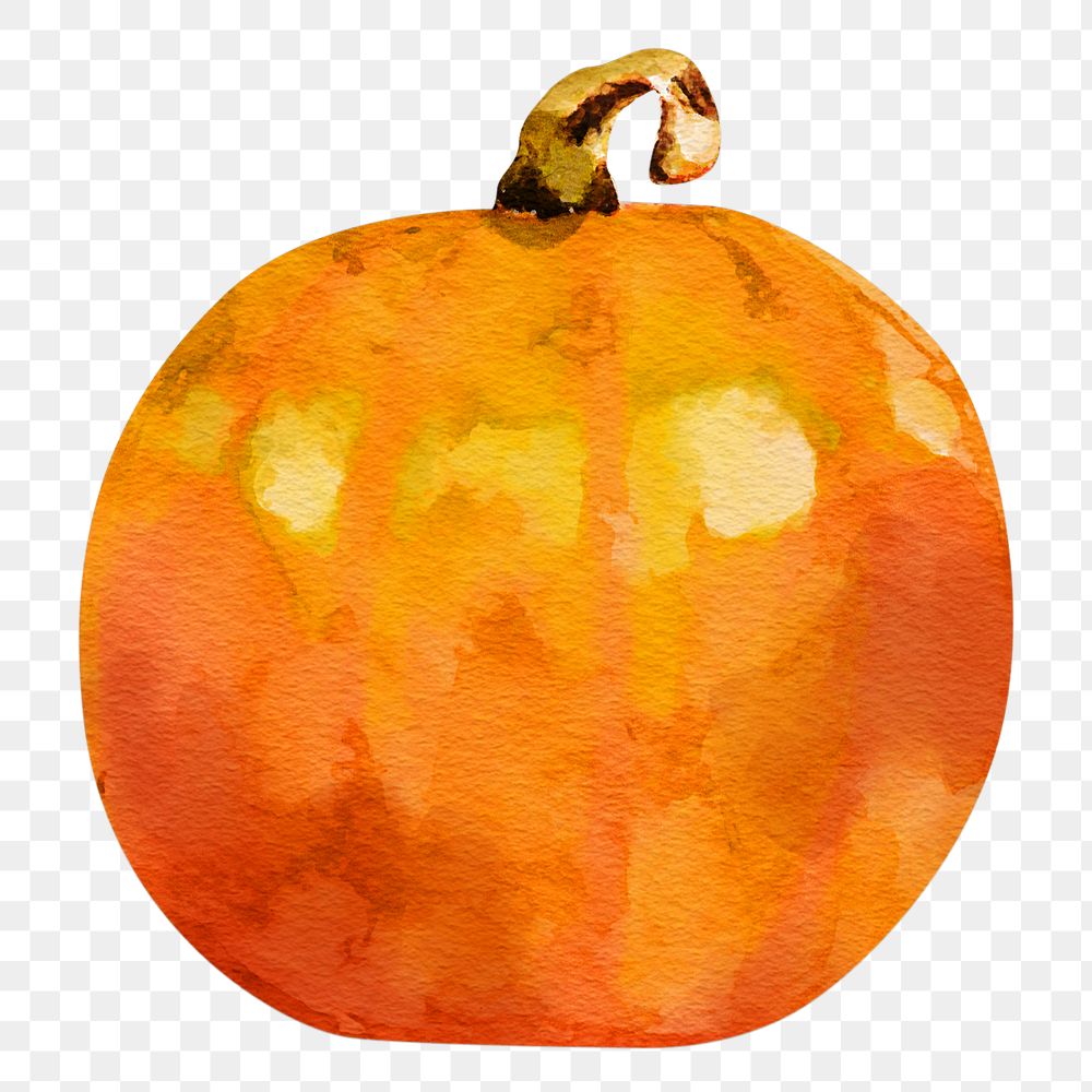 Watercolor pumpkin png sticker, aesthetic vegetable on transparent background