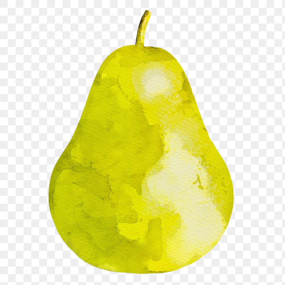 Pear png clipart, fruit drawing on transparent background