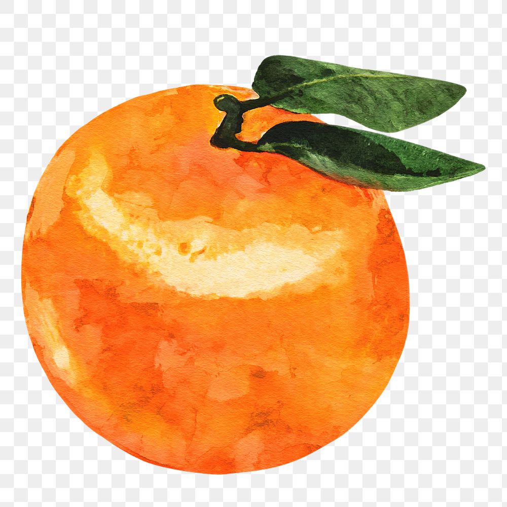 Mandarin orange png clipart, fruit sticker on transparent background