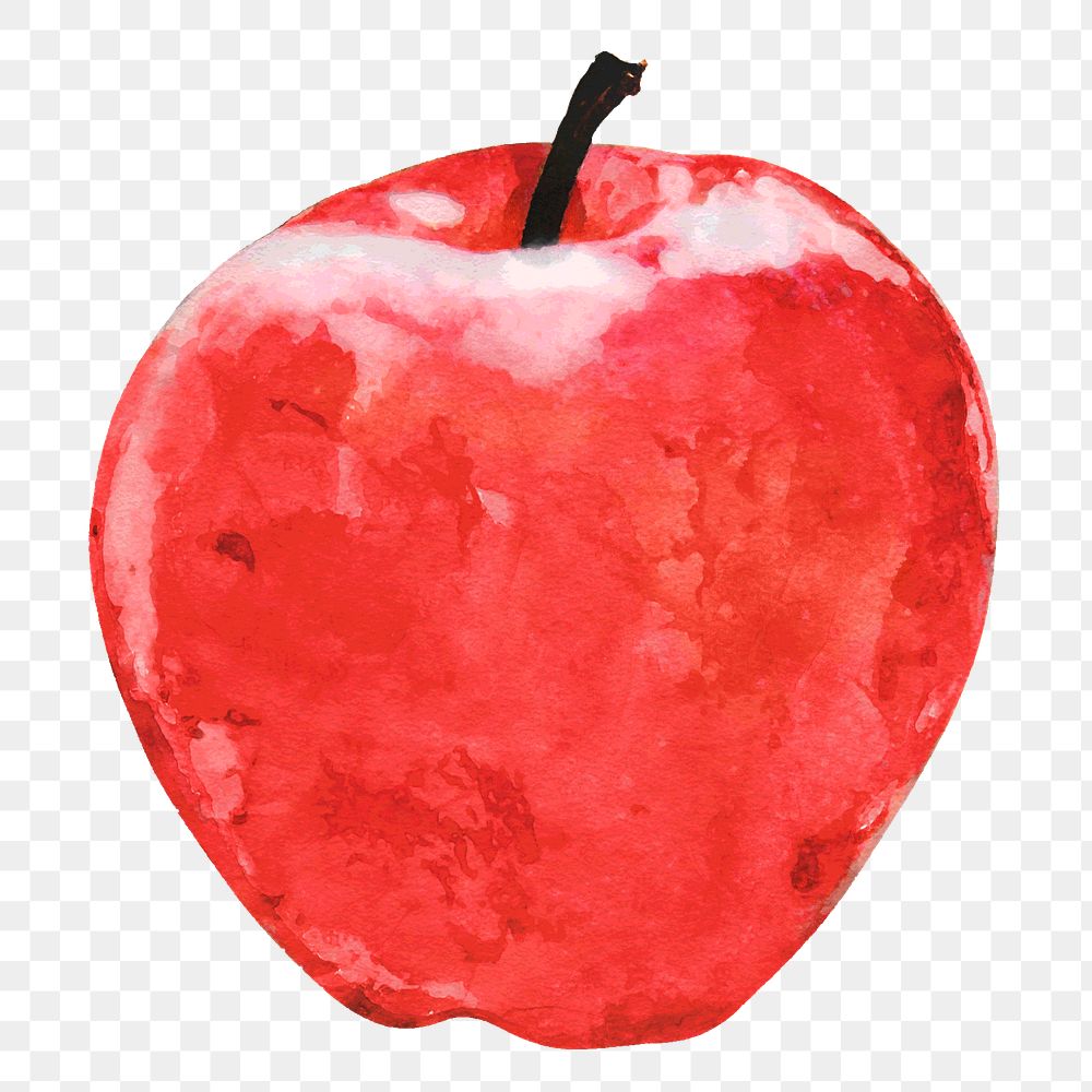 Red apple png clipart, fruit drawing on transparent background