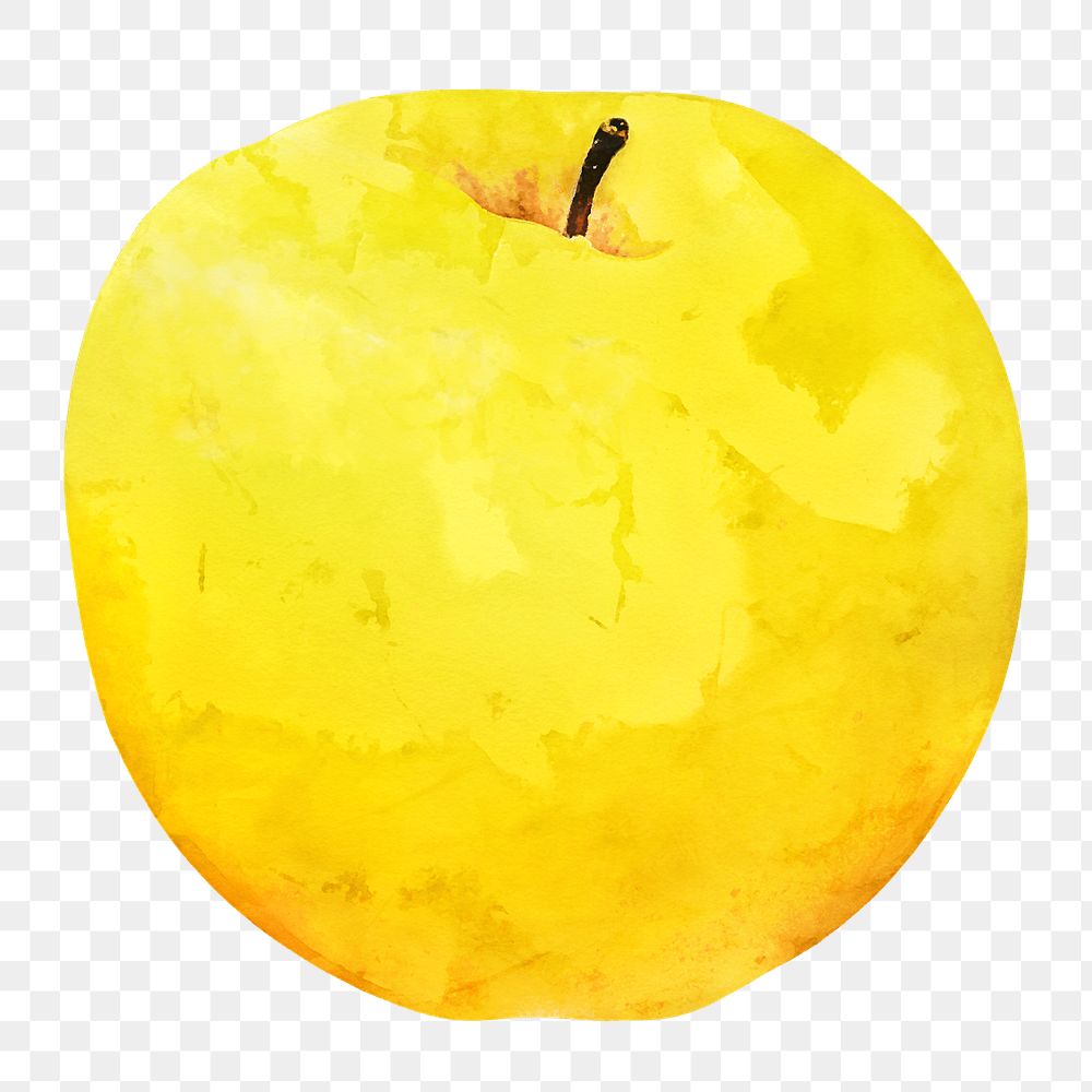 Yellow apple png clipart, fruit drawing on transparent background