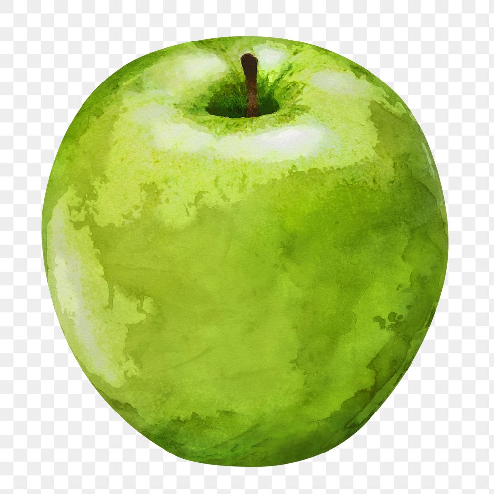 Green apple png clipart, fruit drawing on transparent background