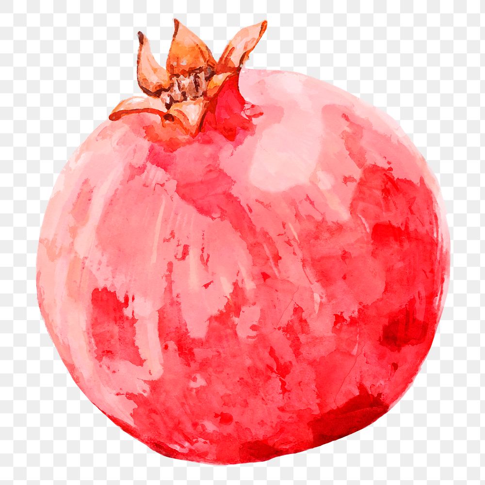 Pomegranate png clipart, fruit sticker on transparent background