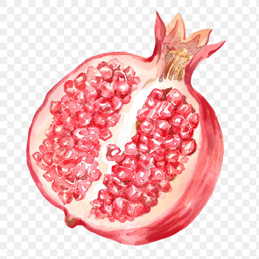 Pomegranate png clipart, fruit drawing on transparent background