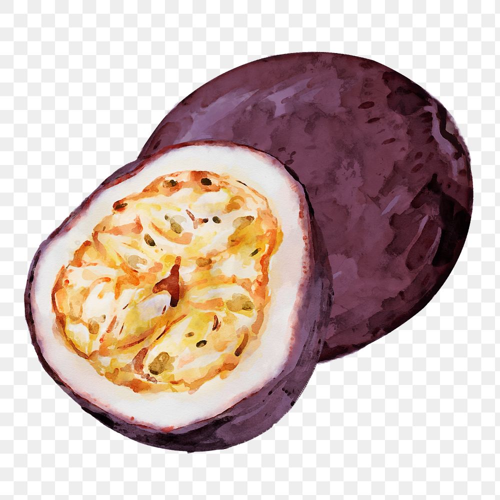 Passion fruit png clipart, fruit drawing on transparent background