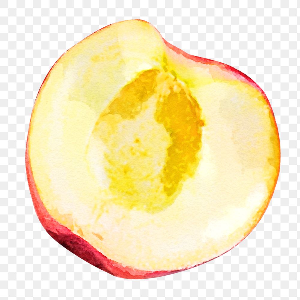 Peach png clipart, fruit drawing on transparent background