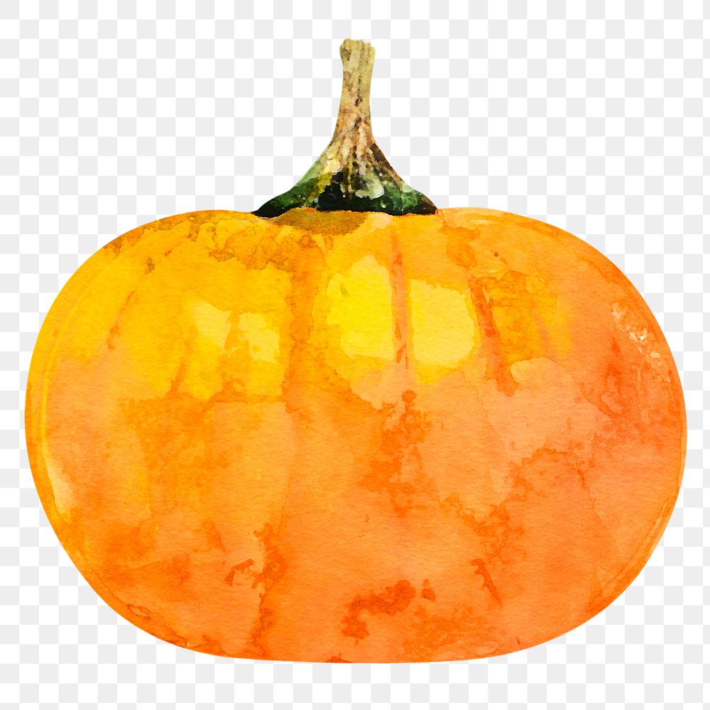 Watercolor pumpkin png sticker, aesthetic vegetable on transparent background