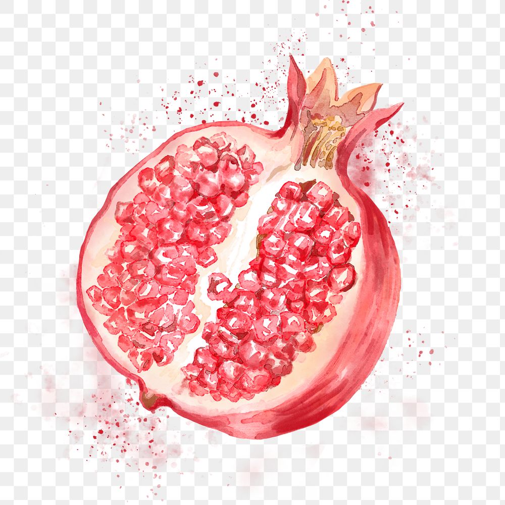 Pomegranate png clipart, fruit drawing on transparent background