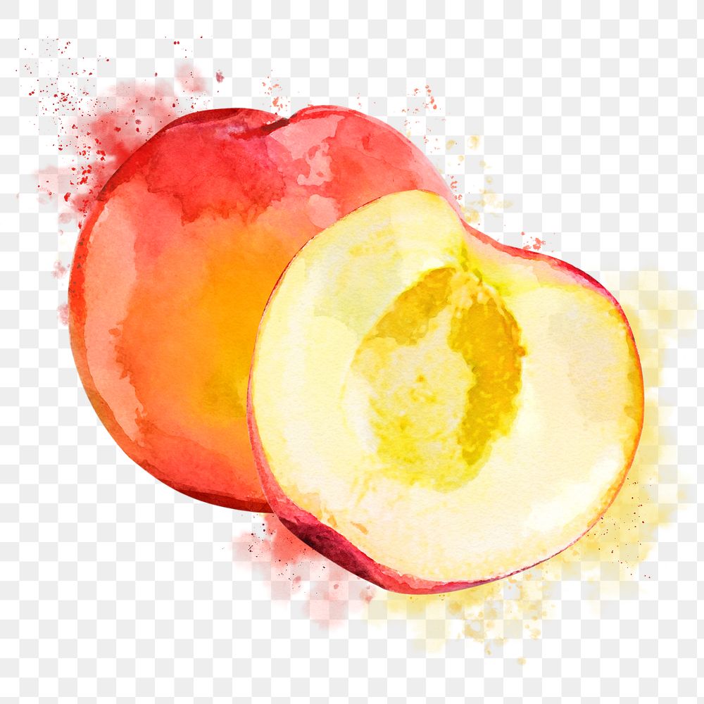 Peach png clipart, fruit drawing on transparent background