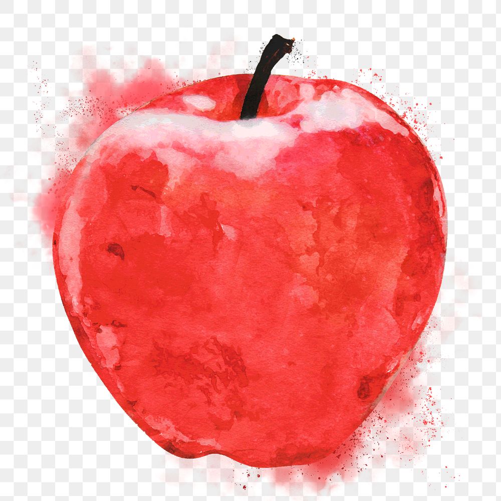 Red apple png clipart, fruit drawing on transparent background