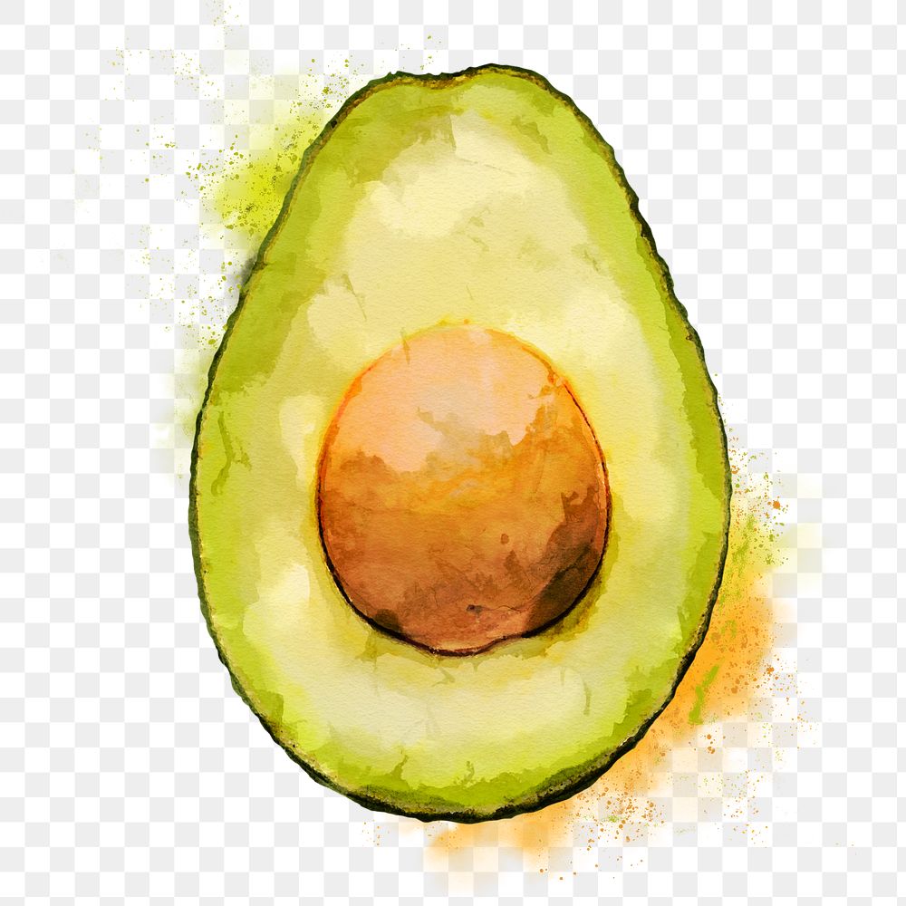 Avocado png clipart, fruit drawing on transparent background