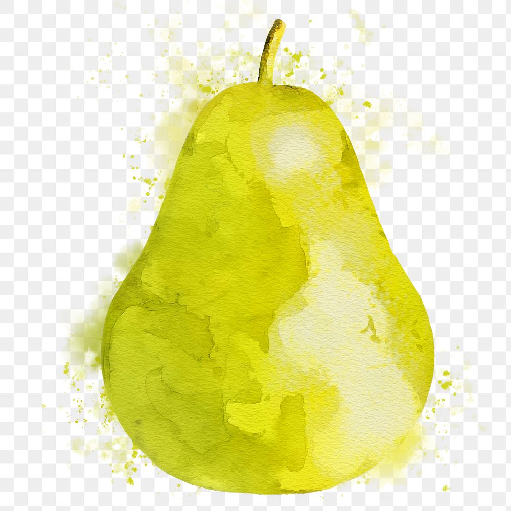 Pear png clipart, fruit drawing on transparent background
