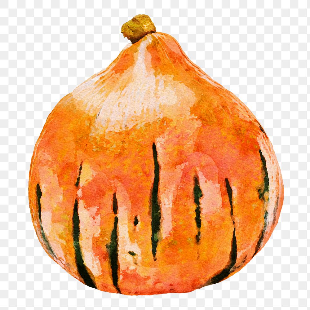 Onion png clipart, vegetable drawing on transparent background