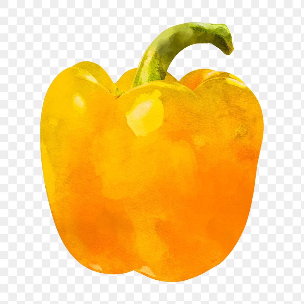 Bell pepper png clipart, vegetable drawing on transparent background