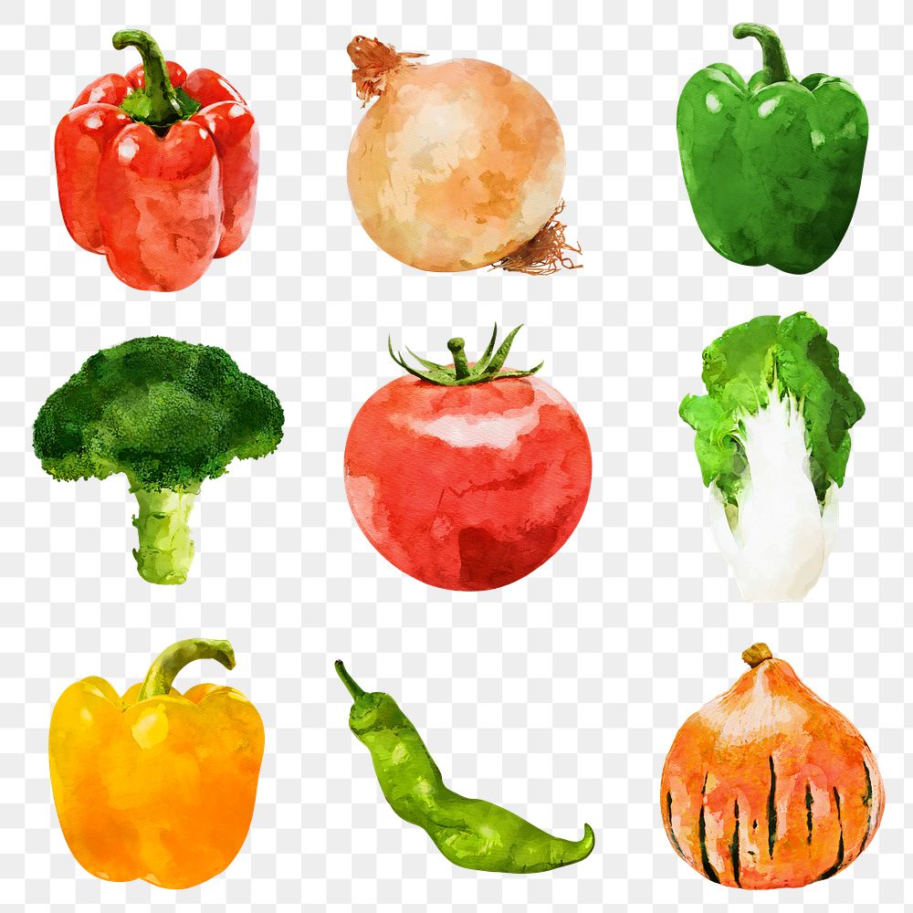 Vegetable png clipart, vegetable drawings on transparent background collection 