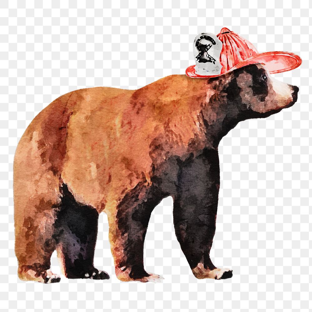 Bear firefighter png sticker, watercolor illustration, transparent background