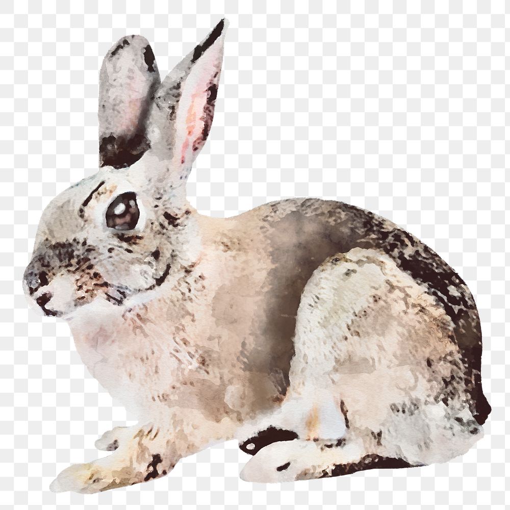 Rabbit png sticker, watercolor illustration, transparent background