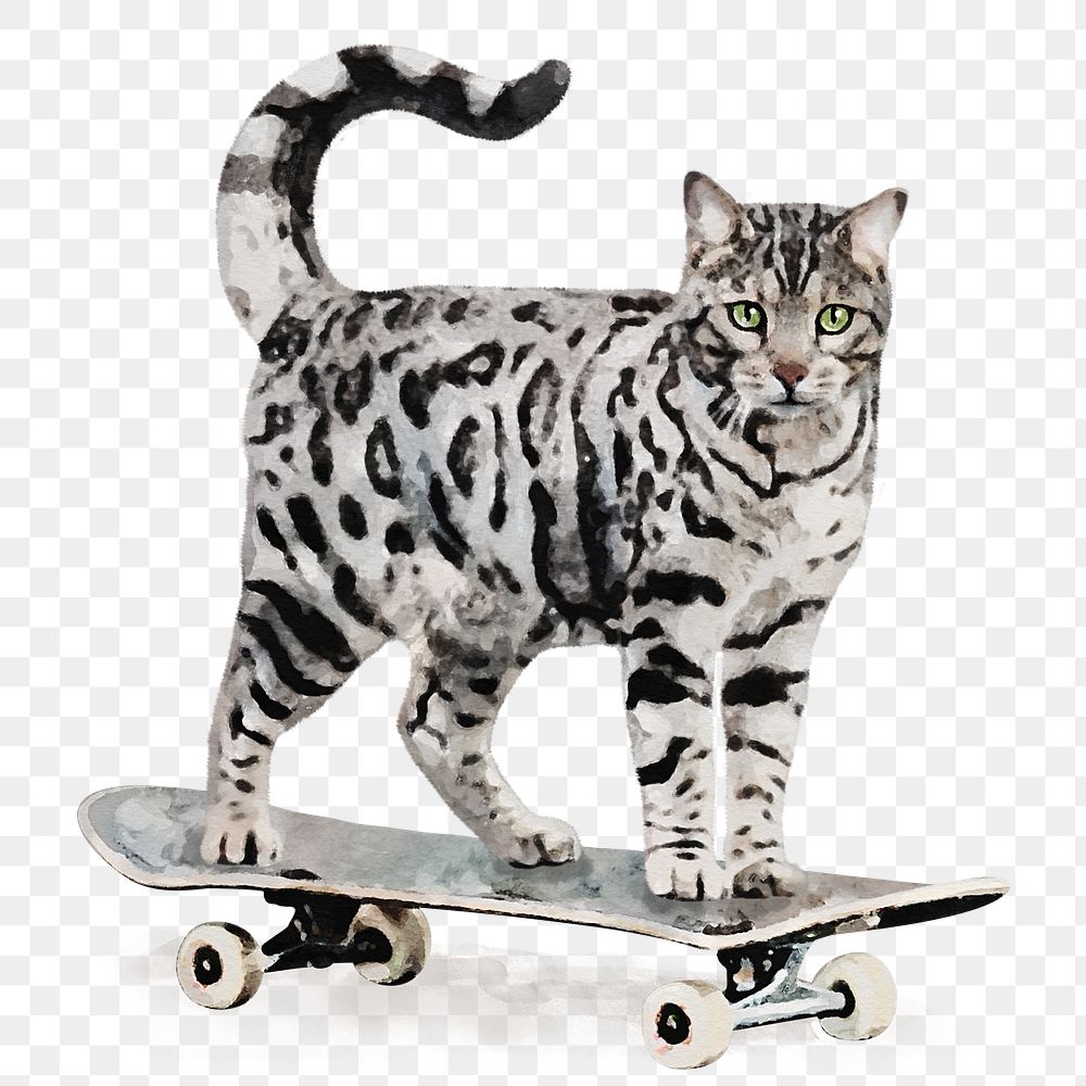 Cat skateboarding png sticker, watercolor illustration, transparent background