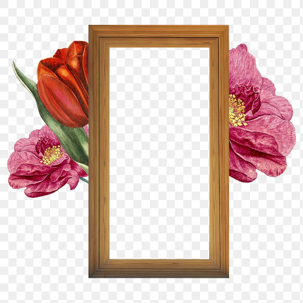 Floral picture png frame, surreal escapism collage art on transparent background
