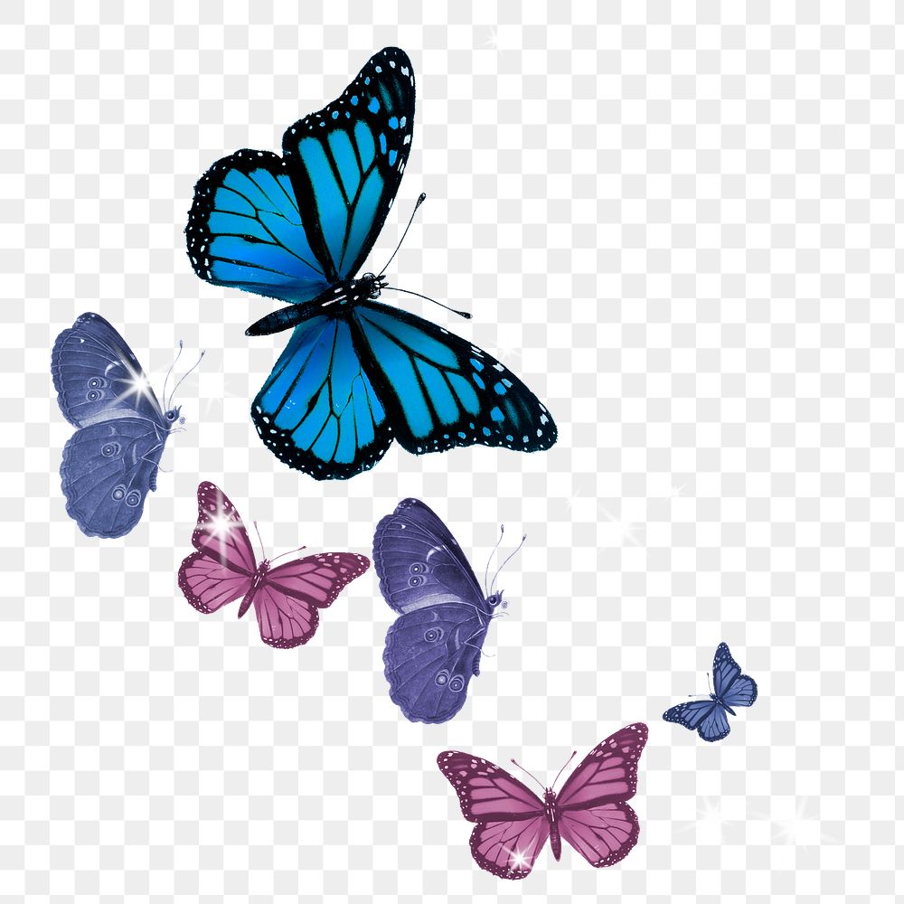 Sparkly butterflies png sticker, aesthetic surreal art on transparent background