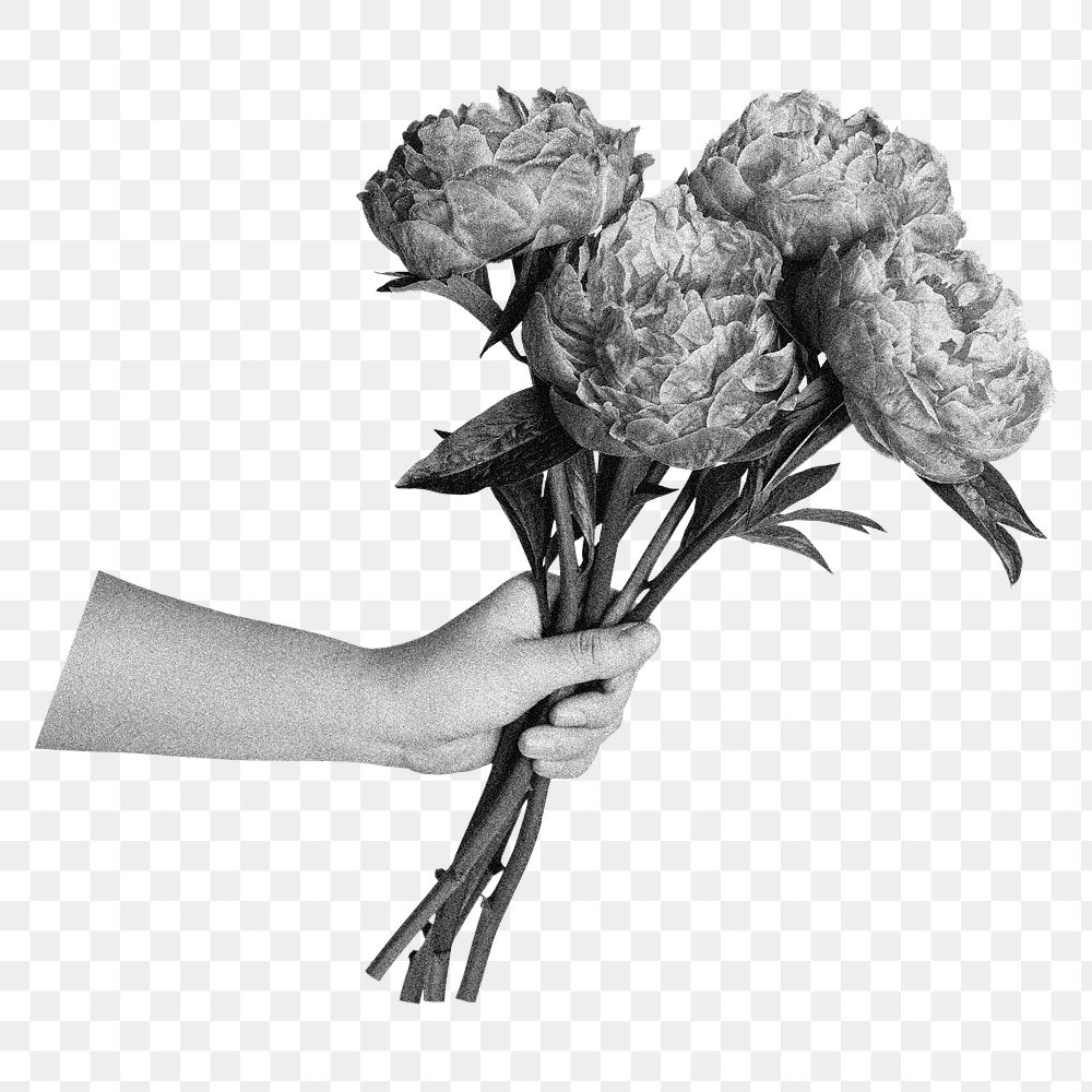 Hand holding peony png bouquet, flower collage element in black and white, transparent background