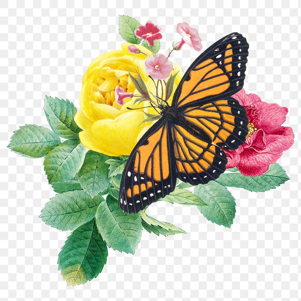 Butterfly on flowers png clipart, aesthetic collage element on transparent background