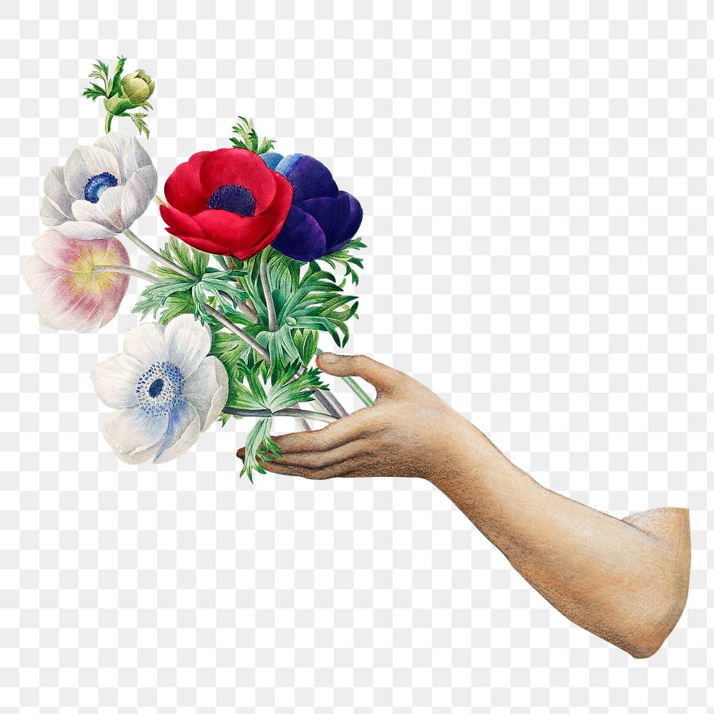 Hand png holding flower bouquet, vintage illustration on transparent background