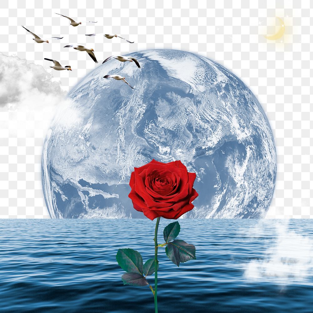 Fantasy ocean rose png, transparent background, nature aesthetic surreal collage