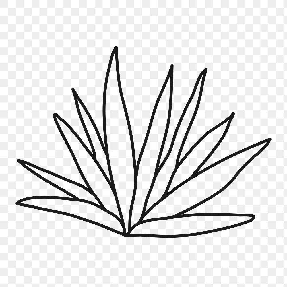 PNG doodle plant, bush collage element, transparent background