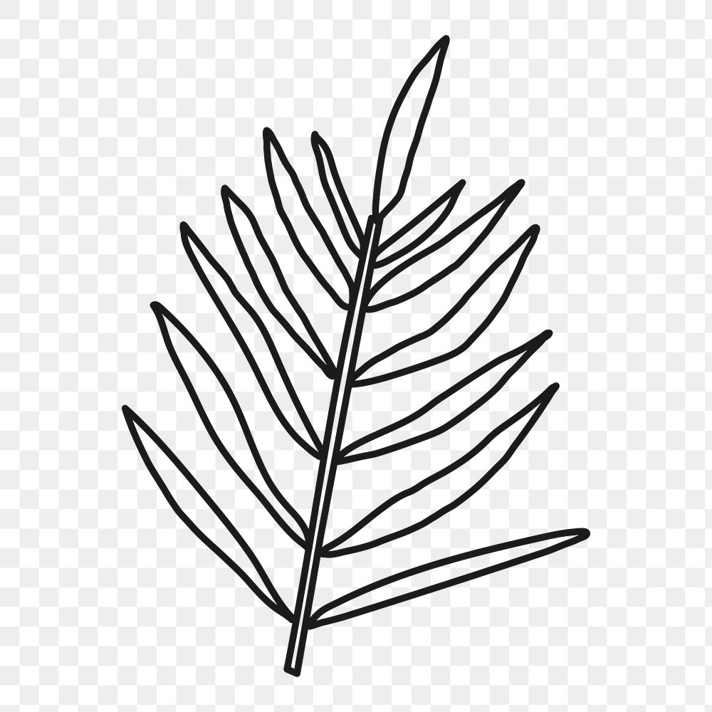 Fern leaf png, doodle collage element, transparent background