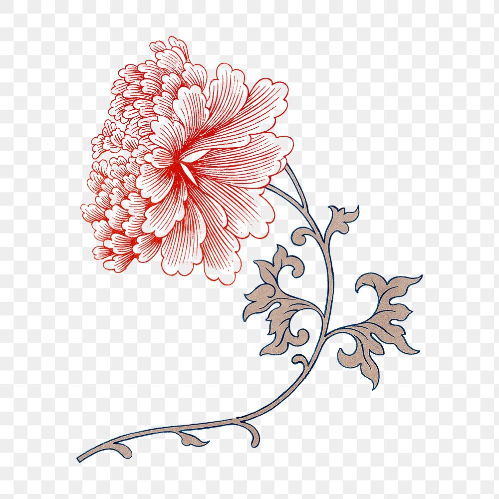 Peony flower png sticker, Chinese aesthetic vintage illustration, transparent background