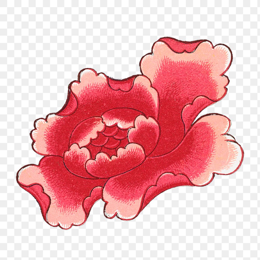 Red flower png sticker, Chinese aesthetic vintage illustration, transparent background