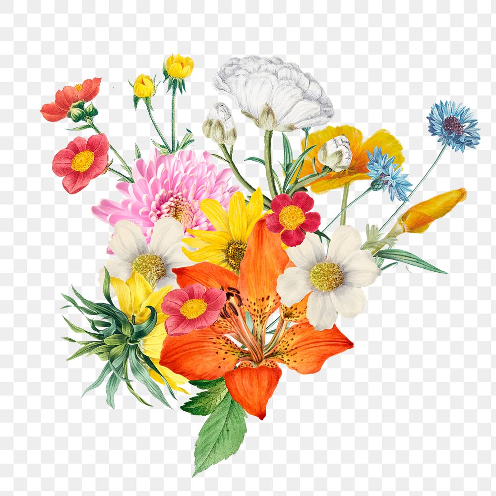 Aesthetic flower png sticker, botanical transparent background