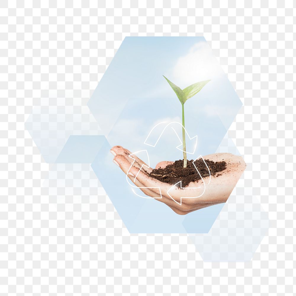 Farming technology png, hand holding plant, smart agriculture collage element, transparent background
