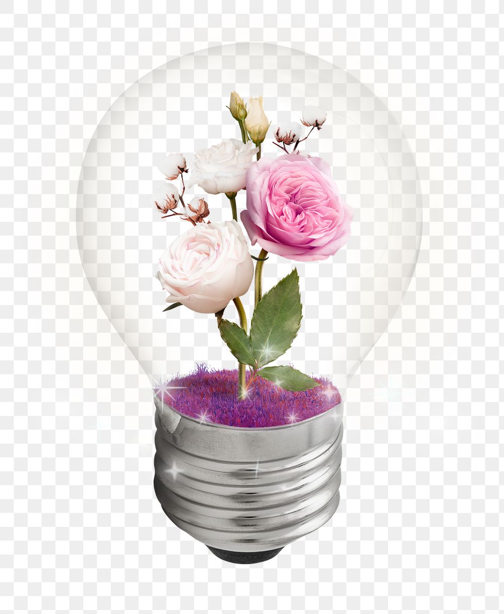 Blooming light bulb png sticker, transparent background